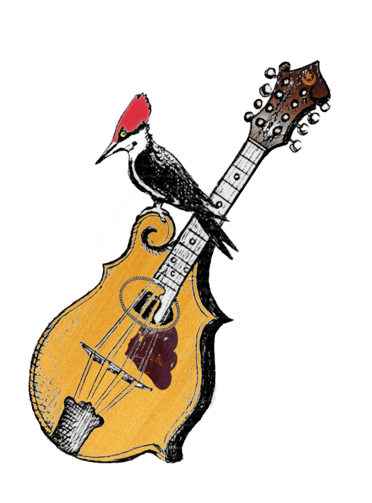 illustration of a pileated woodpecker sitting on a mandolin